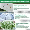 Fábricas Suministro Transfronterizo Plantas Cubiertas de Protección contra Heladas, Mantas de Protección contra el Frío, Cubiertas de Aislamiento para Verduras de Invierno, Tela No Tejida Protección contra el Frío y Tela de Protección contra Heladas