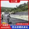 Geomembrana de PEAD Reservatório de Água Barragem Piscina Paisagística Membrana Impermeável 1.5mm Novo Material Fabricante de Geomembrana