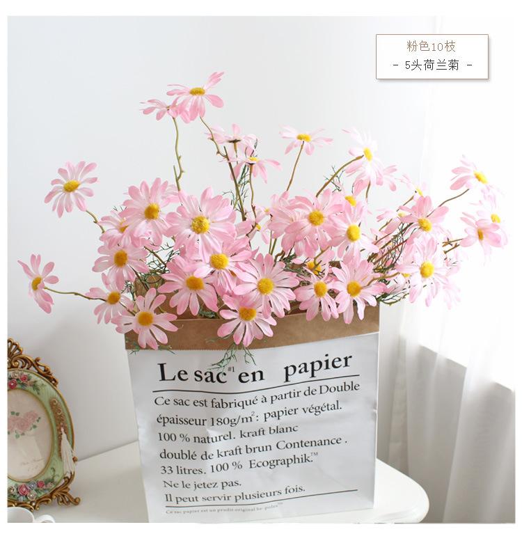 荷兰菊1.jpg