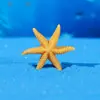 Adornos de Resina con Vida Marina, Paisajismo para Acuarios, Combinación de Estrellas de Mar, Peces Pequeños y Caracolas, Manualidades de Resina para Decoración del Hogar