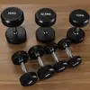 Academia Cabeça Redonda Haltere Fixo Masculino Treinamento de Força em Casa Músculos dos Braços Haltere Sólido Revestido de Borracha Masculino
