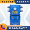 Suministro Señalizador Sonoro y Luminoso Kxb127 Huainan Litong Minería Señalizador Sonoro y Luminoso Subterráneo con Función de Punteo Fábrica Original