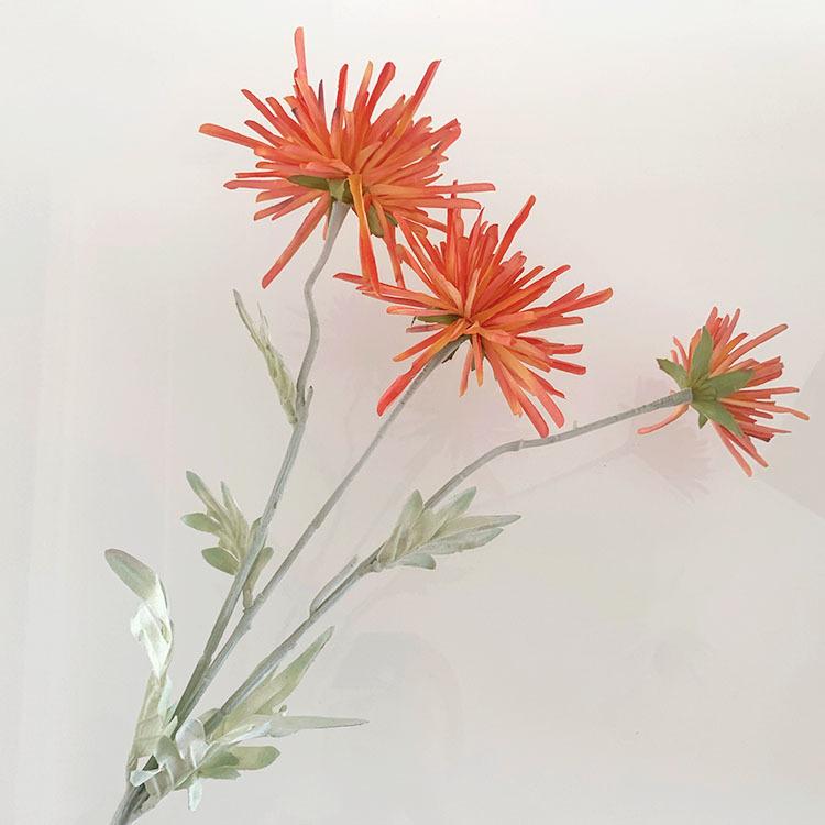 IMG_8032(20220721-111432)