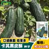 Semillas de Melón de Piel Negra Caqui, Fruta Grande, Crujiente y Jugoso, Muy Resistente a la Frutificación, Melón Fragante Semillas de Melón de Piel Negra