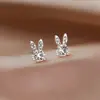 Pendientes de botón con orejas de conejo creativos distintivos estilo coreano, moda brillante, combinan con todo, nuevos pendientes de botón, regalo conmemorativo exquisito