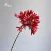 Flor Artificial de Caliobsis de 7 Ramas y Tallo Largo para Decoración del Hogar, Accesorios para Fotos, Ramilletes de Mesa de Boda y Arreglo de Escenas