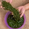 Kelp Salgado de Haste Curta Espesso Selvagem Fresco Seco Parcialmente 2,5kg Pacote