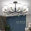 Nuevo Candelabro Estilo Chino, Luz Principal para Sala de Estar, Luz para Dormitorio, Lujo Ligero, Instalación a Domicilio para Jóvenes, Combinación de Iluminación Estilo Occidental, Toda la Casa