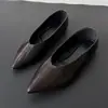 Sapatos Femininos Europeus e Americanos 2026 Novo Estilo Bico Fino Decote em V Sapatos de Salto Único Sapatos Baixos Sapatos Casuais Femininos de Salto Único Comércio Exterior Atacado
