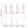 Regla Plantilla de Cuerpo Humano para Diseño de Ropa, Regla de Forma Femenina, Regla de Herramienta de Cuerpo Humano para Renderizado Dinámico, Molde Madre Xin Ye Recubierto