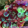 Escama de Dragón Sirena Iridiscente Concha Grande 40mm Lentejuelas Plegadas DIY Siete Colores Deslumbrante Escama de Pez Forma de Abanico Cuentas