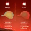 Gorra Nueva de Otoño e Invierno para Hombre, Gorra de Pico Cálida con Forro de Felpa, Cortavientos e Impermeable, Gorra Transfronteriza Europea y Americana para Esquí y Montañismo