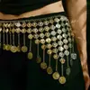 Cadena de Cintura Metálica con Borla Estilo Étnico Bohemio para Mujer con Falda, Accesorios de Cinturón de Diseño Nicho Retro de Gama Alta