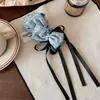 Presilha Grande para Rabo de Cavalo Alto, Volume Capilar Grande, Presilha Torcida, Presilha de Cabelo para Mulheres, Parte de Trás da Cabeça, Novo Estilo 2026, Presilha Banana, Presilha Vertical, Grampo de Cabelo