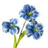 3 tulipas artificiais únicas impressão 3D tulipa segurando flores arranjo de flores de casamento salão de casamento flores artificiais atacado
