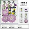 Bolsa de Material para Repujado de Flores Secas Transfronteriza Cara Pétalo Maquillaje Hoja Adhesivo Espécimen de Planta Flor Real Hecho a Mano Material DIY