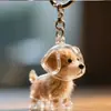 Caixa de Armazenamento de Cabelo Transparente para Filhote Fofo Pingente Cápsula de Bola de Pelo Animal Decoração Caixa de Poeira Comemorativa Brinquedos de Coleção