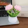 Flor de ganchillo tejida a mano rosa burbuja planta en maceta decoración de escritorio regalo creativo colgante de flor de hilo