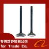 3ca13d70 3TNV70 3TNM72 válvula 119515-11101 119515-11110 gran cantidad en stock