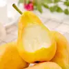 Yantai, Shandong, Pera Taipo al por mayor y entrega 3/5/ 4.5 kg Pera Plátano, Pera de Esposa, Pera Cabeza Grande, Fruta Fresca