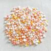 30 camelias de estilo popular de celebridades de Internet mixtas, joyería para uñas, perla tridimensional, resina, pequeña flor, accesorios para carcasa de teléfono DIY