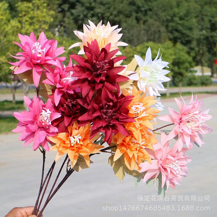 主图 花溪谷_副本.jpg