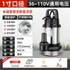 Bomba Sumergible DC sin Escobillas para Personas 36V 48V 60V 72V 110V Voltaje Amplio Universal Bomba de Bombeo de Agua para Vehículos Eléctricos Otro