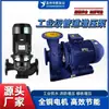 Bomba Centrífuga Vertical para Tubulação de Circulação de Água Quente e Fria 380V, Caldeira Booster, Resistente a Altas Temperaturas, Motor Totalmente de Cobre, Irg