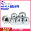Porca de Acabamento de Aço Carbono Galvanizado Porca de Acabamento Porca de Acabamento Porca de Acabamento Decorativa Redonda com Cabeça de Bola Porca de Acabamento Tipo Tampa de Metal M3-M27