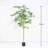 Árvore de Dinheiro Artificial de Alta Qualidade, Árvore da Felicidade, Árvore de Borracha para Decoração de Chão de Sala de Estar Interna, Plantas Artificiais Verdes para Paisagismo de Hotel