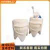 Bestseller transfronterizo portacepillos de dientes sonrientes impresos en 3D organizador de papelería regalo creativo dentista adorno dental