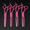 Tesoura de cabeleireiro de parede rosa de 6,0 polegadas, tesoura de barbeiro, tesoura reta, tesoura de dentes finos 05-7