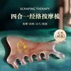 Pente Massageador Multifuncional Quatro em Um para Couro Cabeludo, Pente de Meridianos, Placa de Beleza, Raspador de Pontos de Acupuntura Resina Golfinho
