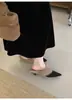 Chinelos de Pelo com Bico Fino e Salto Grosso Estilo Coreano para Mulheres Outono Inverno 2026 Novos Chinelos de Pelúcia com Bico Fechado e Salto Médio Francês