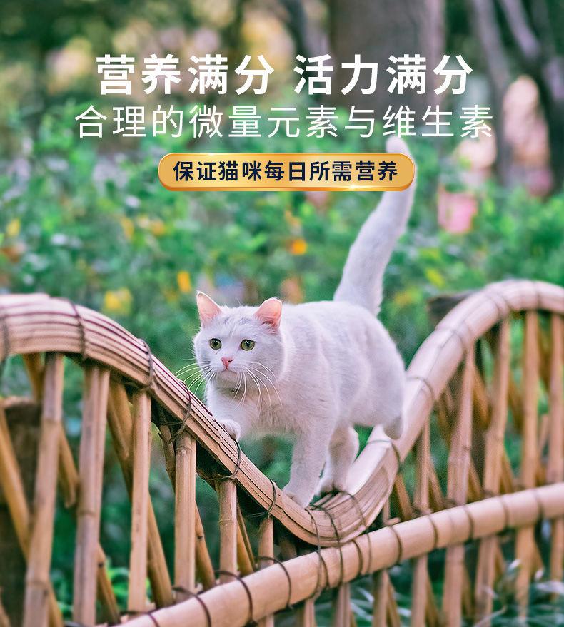 详情4
