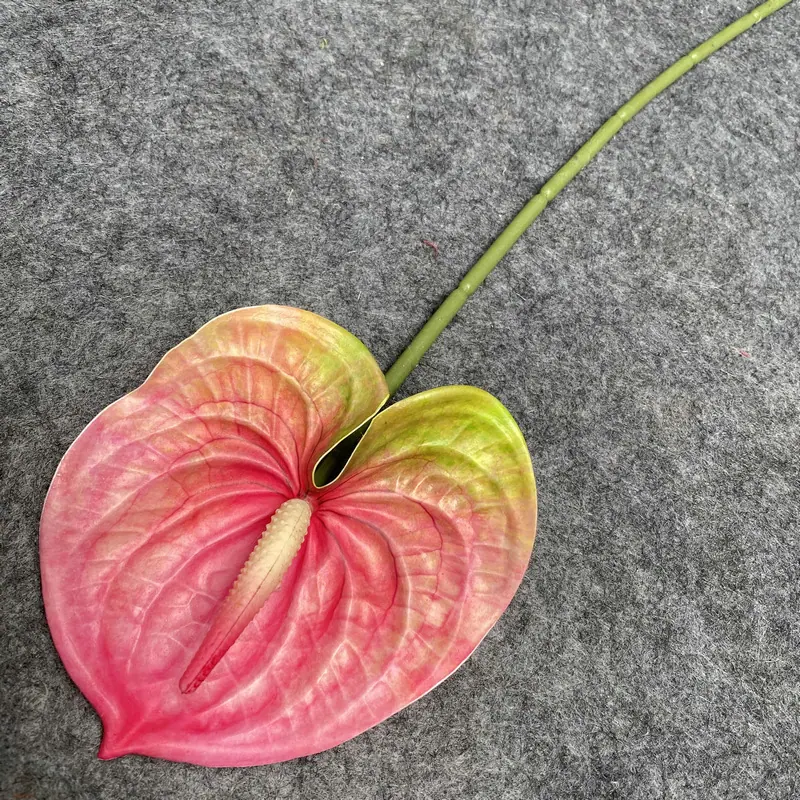 深粉色.JPG