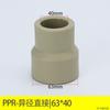Liansu Ppr Directo (Conexión de Tubería Recta) Reductor (Manguito Reductor) Conector Reductor para Mejoras del Hogar de Fusión en Caliente, Flexible