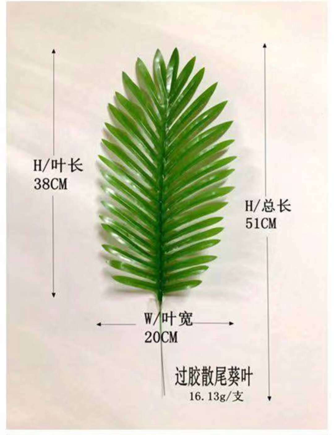 微信图片_20200317111522.jpg