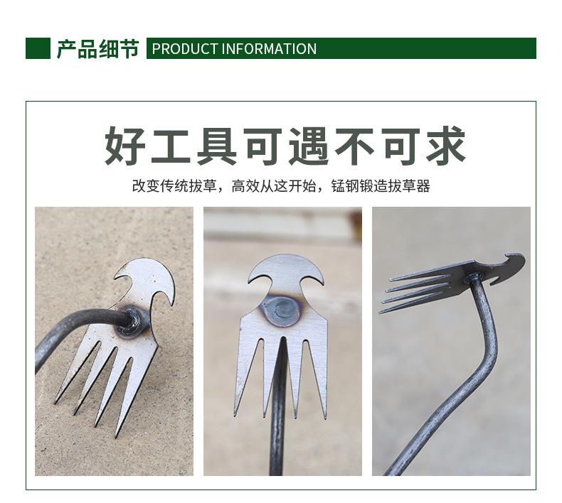 详情_05.jpg