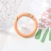En Stock 20mm Aleación Pintada Anillos de Resorte Coloridos para Bolsos, Broches Redondos Pequeños, Broches para Colgar, Accesorios de Joyería, Broches de Resorte Abiertos