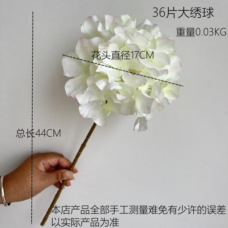 尺寸图