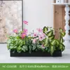 Hc-Cd3 Arreglo de Macetero de Flores de Planta Verde Simulada Combinación de Partición de Plantas Decoración de Paisajismo con Flores Artificiales Flores Falsas