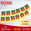 Não. 8 14*21 Bandeira de Camarões Cordão Dez Mil Bandeiras Nacionais Decorativas Coloridas Bandeiras Mundiais Estrangeiras Cordão Personalizado