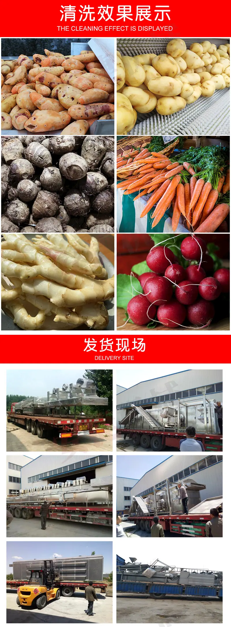 毛刷去皮清洗机_07.jpg