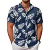 Camisa de Playa para Hombre de Comercio Exterior Europeo y Americano Amazon Talla Europea Verano Nuevo Estilo Hawaiana Manga Corta Estampada Hombre