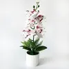 Decoración para el Hogar Planta en Maceta Phalaenopsis de 5 Flores Tira Vertical Arreglo de Escritorio Interior Flores Falsas de Película Bonsái de Simulación Piezas de Flores Grandes