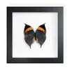 Mariposa Real, Especie Preciosa de Verano, Mariposa Rara, Mariposa Pequeña de Cinta Verde, Adorno de Escritorio, Espécimen de Regalo, Pintura Decorativa, Espécimen de Mariposa