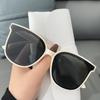 Gafas de Sol de Moda para Celebridades Femeninas, Gafas de Sol Modernas para Hombres, Gafas de Sol Anti-UV para Conducir, Láminas de Nylon al por Mayor