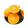 Sichuan Ehime Nº 38 Gelatina Laranja Laranja Doce Festival de Cítricos Grupo de Compra Caixa de Presente Presente Produtos de Ano Novo Negócios Fruta