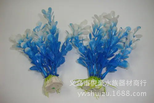 DSC02100